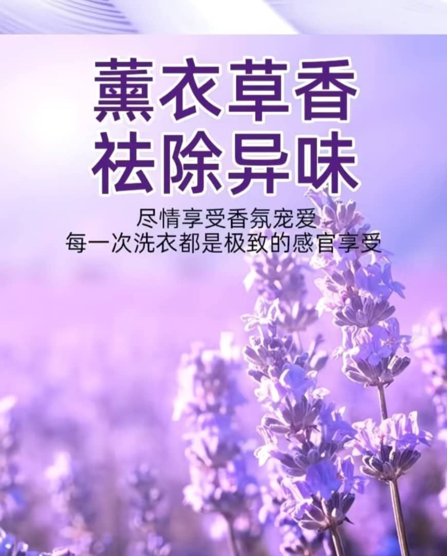 SS001: 5kg LAVENDER LAUNDRY DETERGENT 薰衣草洗衣液