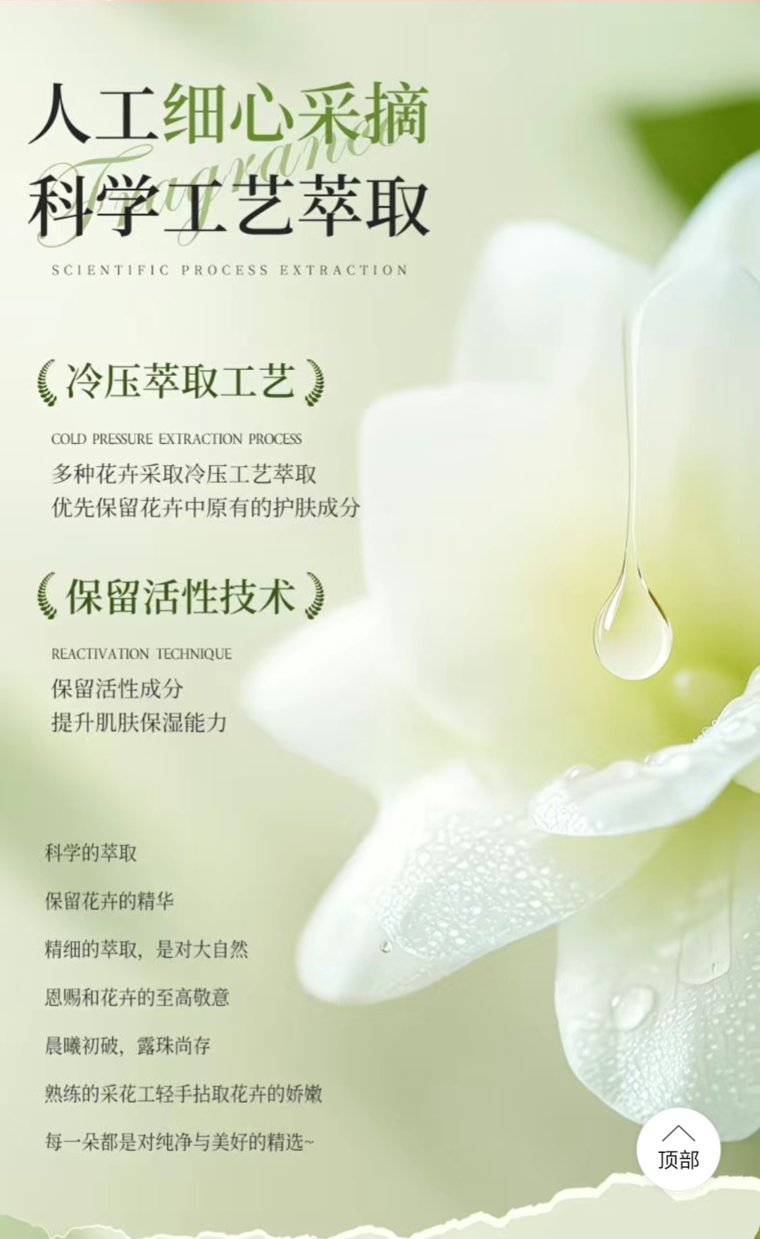 SS015: （2 Bottles）Gardenia White Tea Shower Gel1314g Large Capacity （2 瓶）栀子花沐浴露1314g 大容量